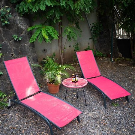 Le Bambou T3 Centre Ville Sainte Clotilde Rez De Jardin Bois de Nefles  Exterior photo