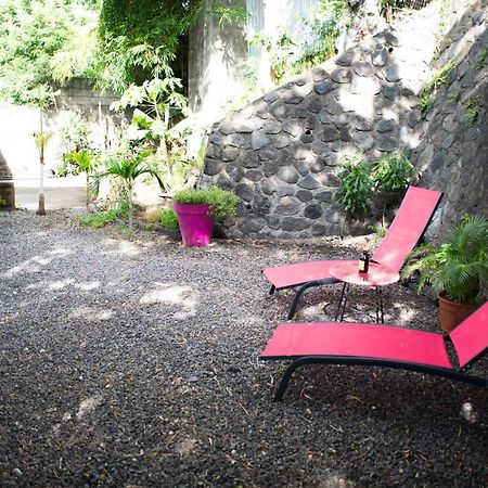 Le Bambou T3 Centre Ville Sainte Clotilde Rez De Jardin Bois de Nefles  Exterior photo